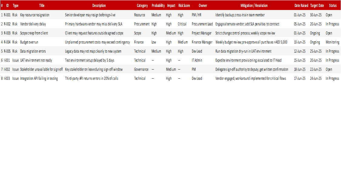 Risk & Issue Summary Report